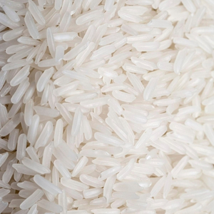 Untitled design (88)