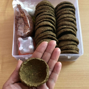 Untitled design (93)