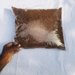 Untitled design (94)