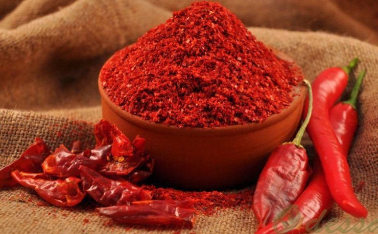 Untitled design (18)