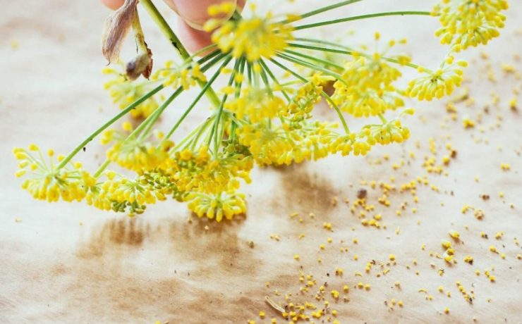 Untitled design (22)