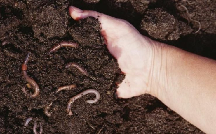 Untitled design (26)