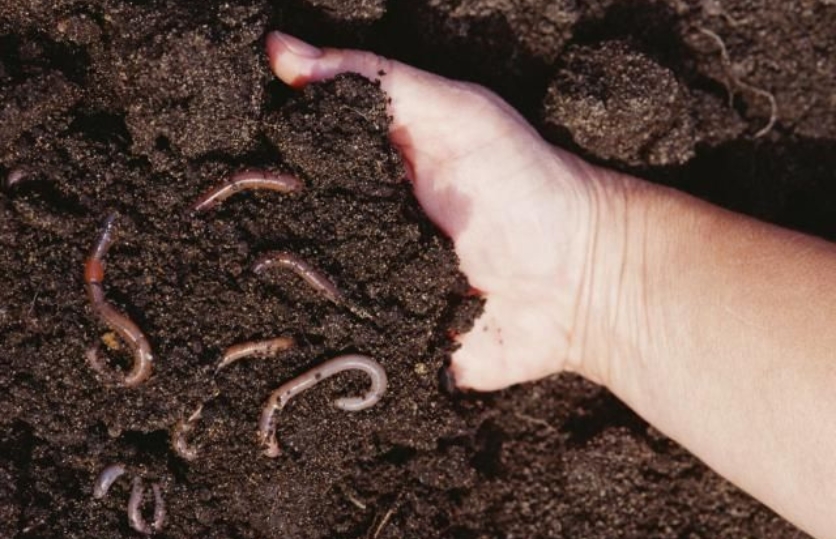 Untitled design (26)